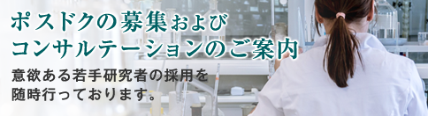 ポスドク募集